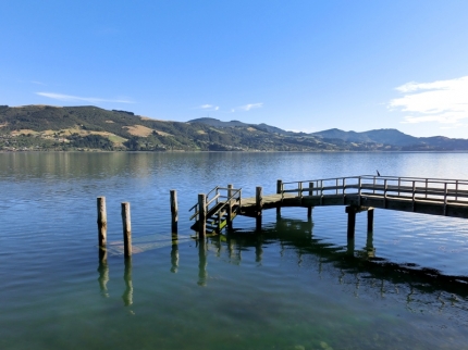 catlins (38)